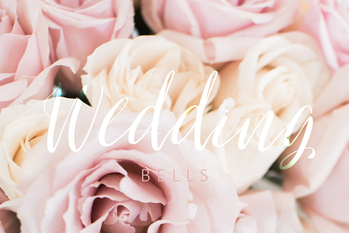 Oh Surrender Script Font preview 7