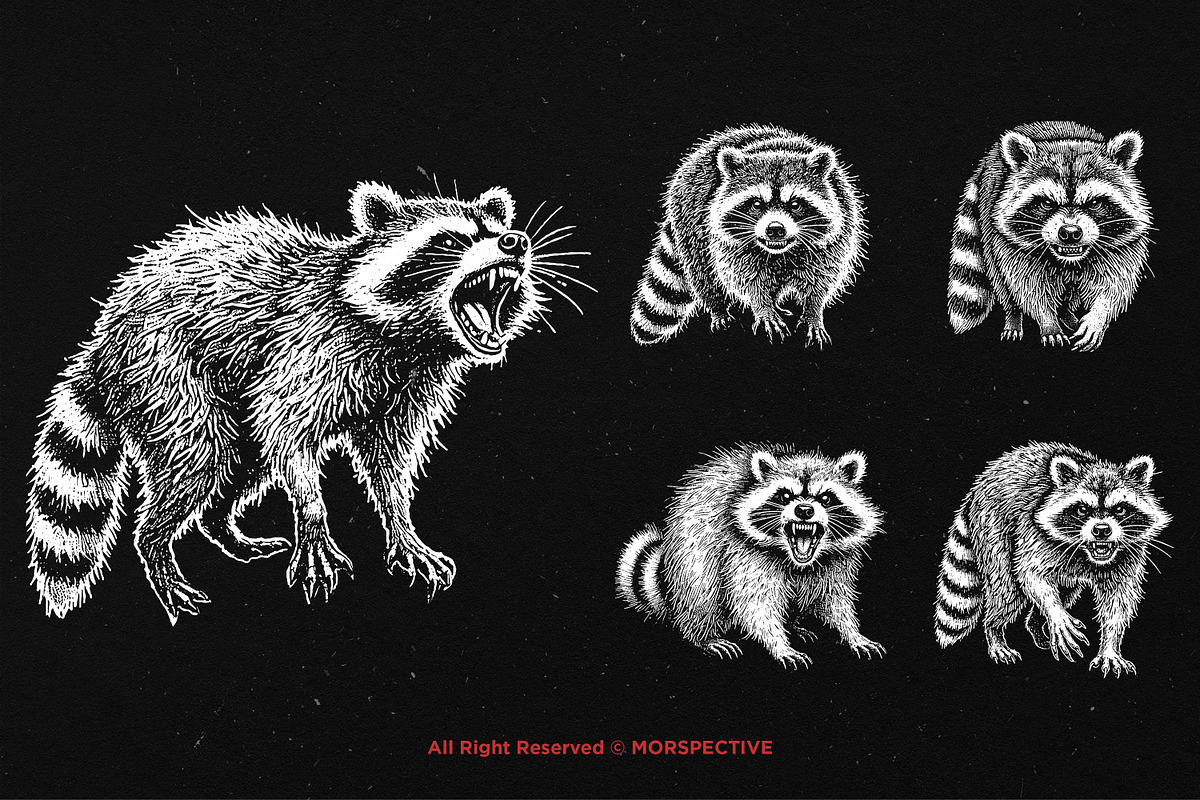 10 Bundle Dark Art Racoon Scary, an Illustration by Morspective (Photo 5 of 7)