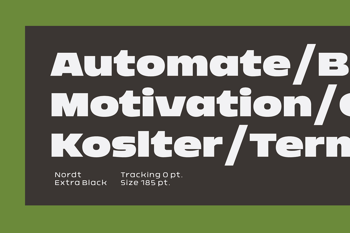 Nordt, a Sans Serif Font by Typesketchbook Foundry (Photo 4 of 5)
