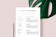 Professional Resume CV Template, a Resume Template by Resume Angels (Thumbnail 1 of 12)