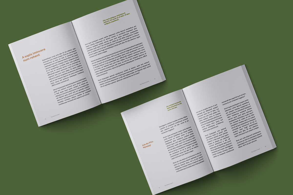 History Book Print Template, a Stationery Template by Meknya (Photo 6 of 14)