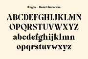 Elagra - Elegant Stencil Serif Font, a Serif Font by Sign Studio (Thumbnail 11 of 15)