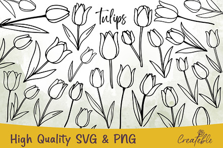 Tulip SVG Bundle