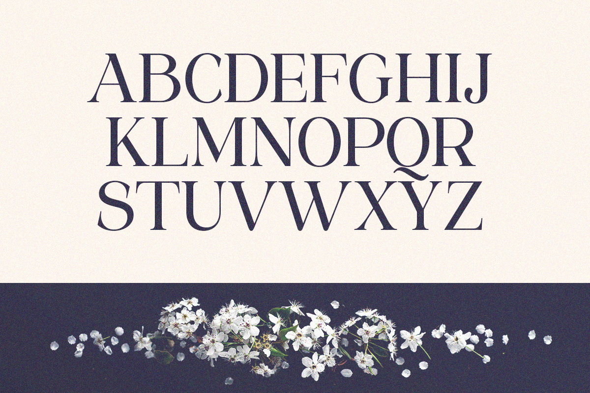 Sangect Display, a Serif Font by Pista Mova (Photo 12 of 12)