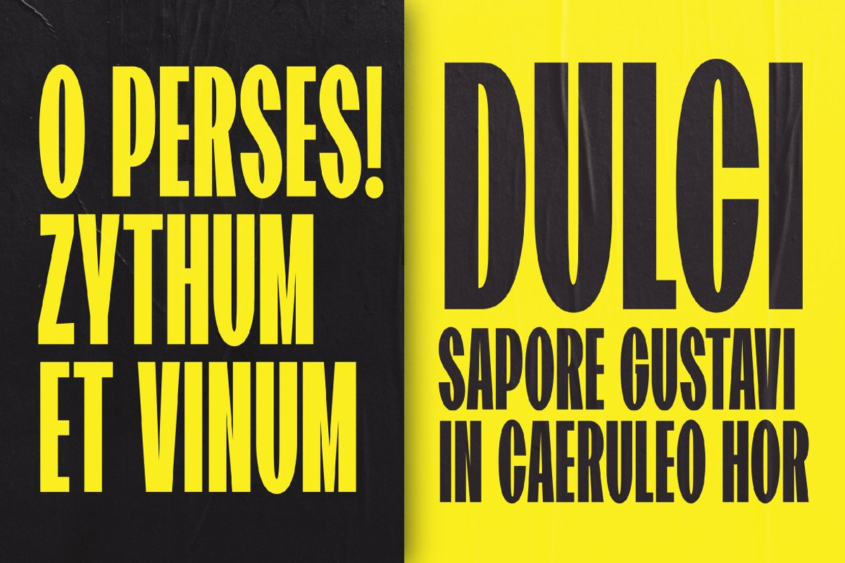 Sansghoul, a Sans Serif Font by graphicook (Photo 4 of 10)