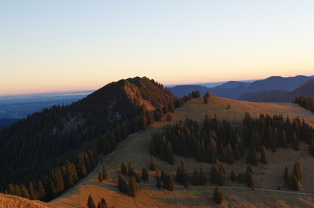 morning meadows