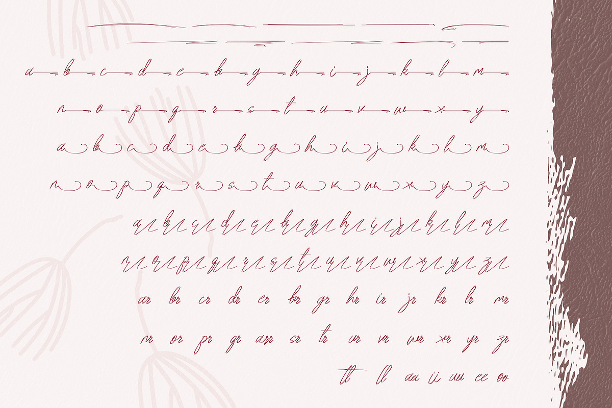 Awely Shiny - Handwritten Font, a Script Font by StringLabs (Photo 10 of 11)