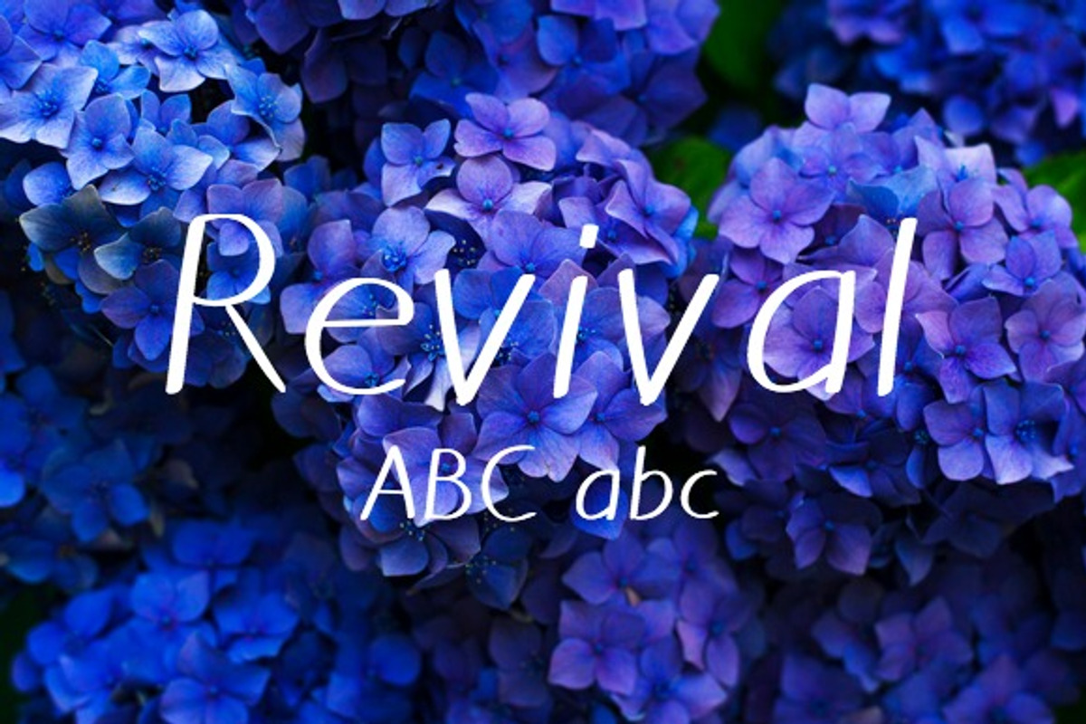 Revival Typeface