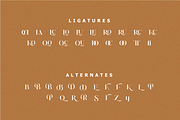 Deroma Serif, a Serif Font by Yahya Type (Thumbnail 21 of 22)