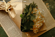 25 Cottagecore Lightroom Presets, a Preset Add-On by CVR Presets (Thumbnail 4 of 7)