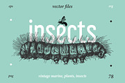 Vintage Bundle 2500+ Free Update, an Animal Illustration by Retro Machine (Thumbnail 64 of 170)