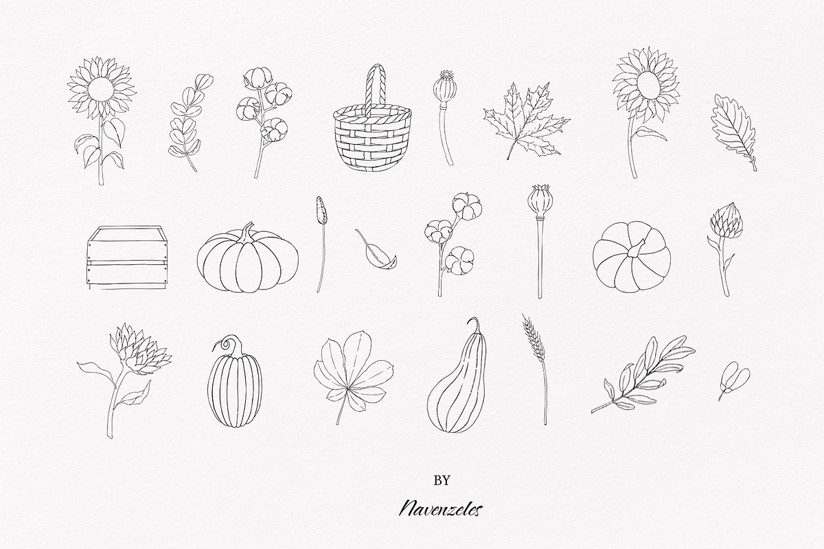 AUTUMN|Botanical line art collection, a Seasonal Illustration by Navenzeles (Photo 14 of 16)