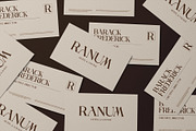 Naomi Modern Serif Font, a Serif Font by Perfectype (Thumbnail 6 of 8)