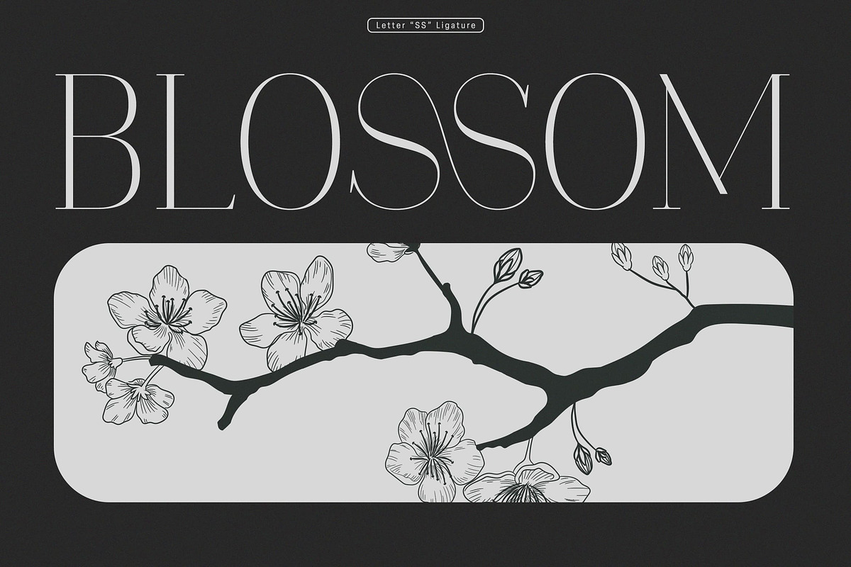 Polyglot Neue, a Serif Font by MJtypefoundry (Photo 6 of 13)