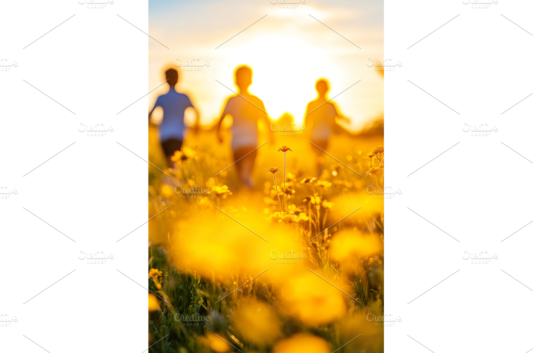 Children playing in sunny wildflower, a Nature Photo by Lermont51