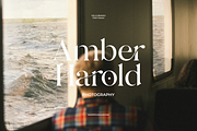Hello Branch 8 Font Family, a Serif Font by Sans & Sons (Thumbnail 3 of 12)