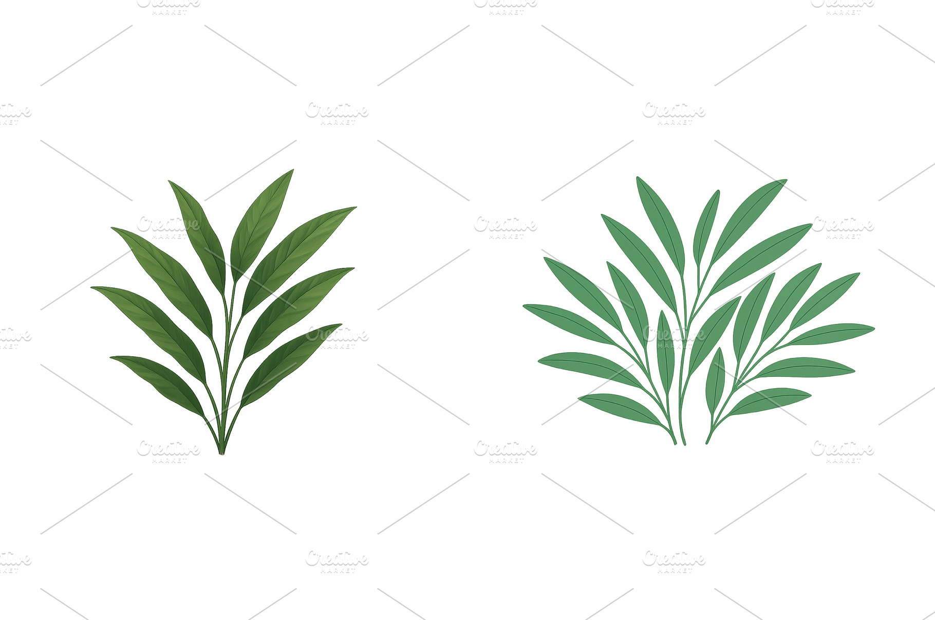 Unique green leaf arrangement, a Nature Photo by ZinetroN