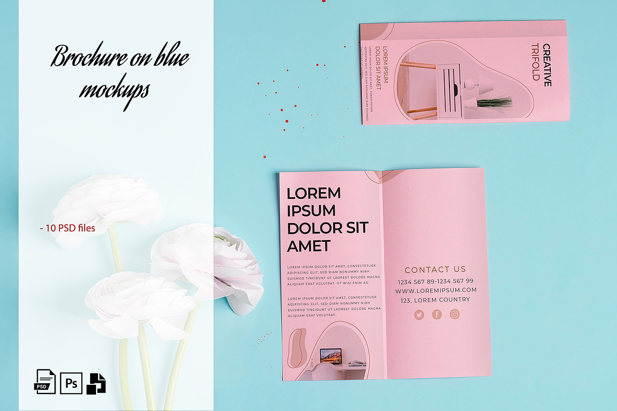 Mockup brochures & backdrop on blue, a Brochure Template by YuMyart (Photo 1 of 5)
