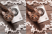 Moody Brown Lightroom Presets, a Preset Add-On by AAA Presets (Thumbnail 3 of 22)