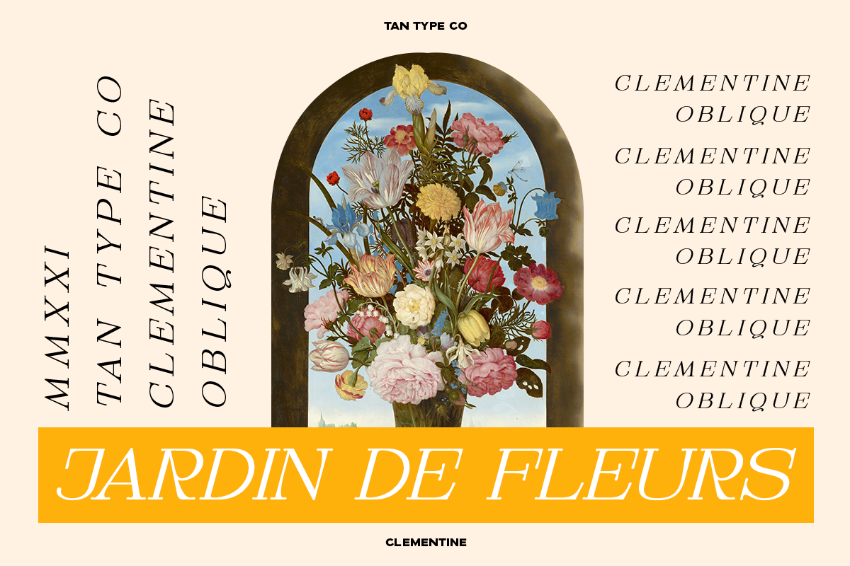 TAN - CLEMENTINE, a Serif Font by TanType (Photo 7 of 20)