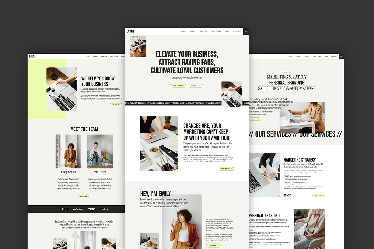 Larch: Showit website template, a Websites & App Template by Aspen Creative Studio (Photo 2 of 4)