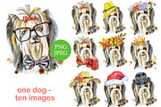 Watercolor fluffy yorkshire terrier, an Animal Illustration by Watercolor fantasy (Thumbnail 1 of 5)