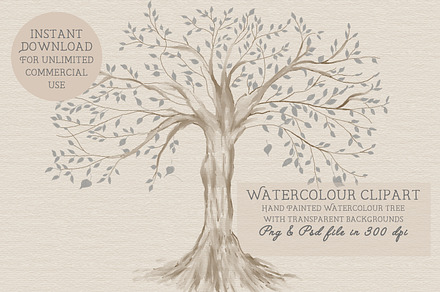 Family tree clipart, trees clipart,