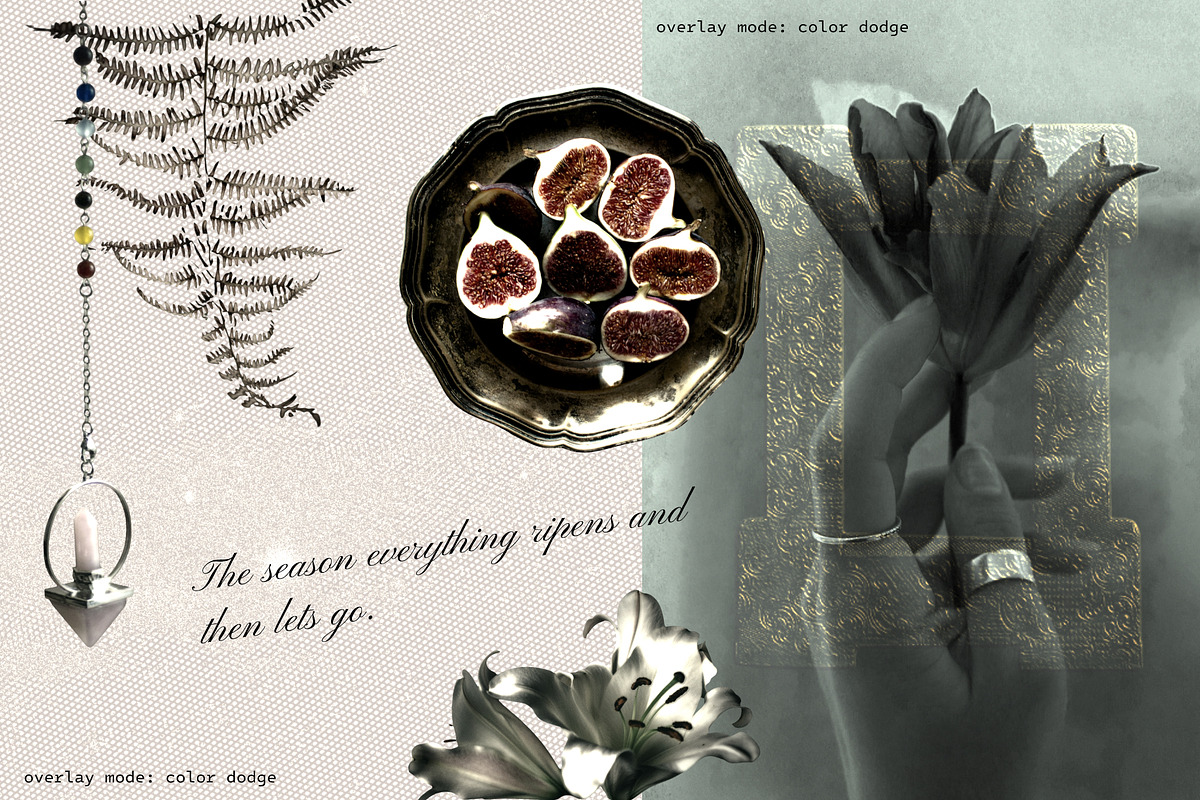 Moody Autumn Ephemera Collage Kit, an Object Graphic by Anzhelika (Photo 2 of 10)