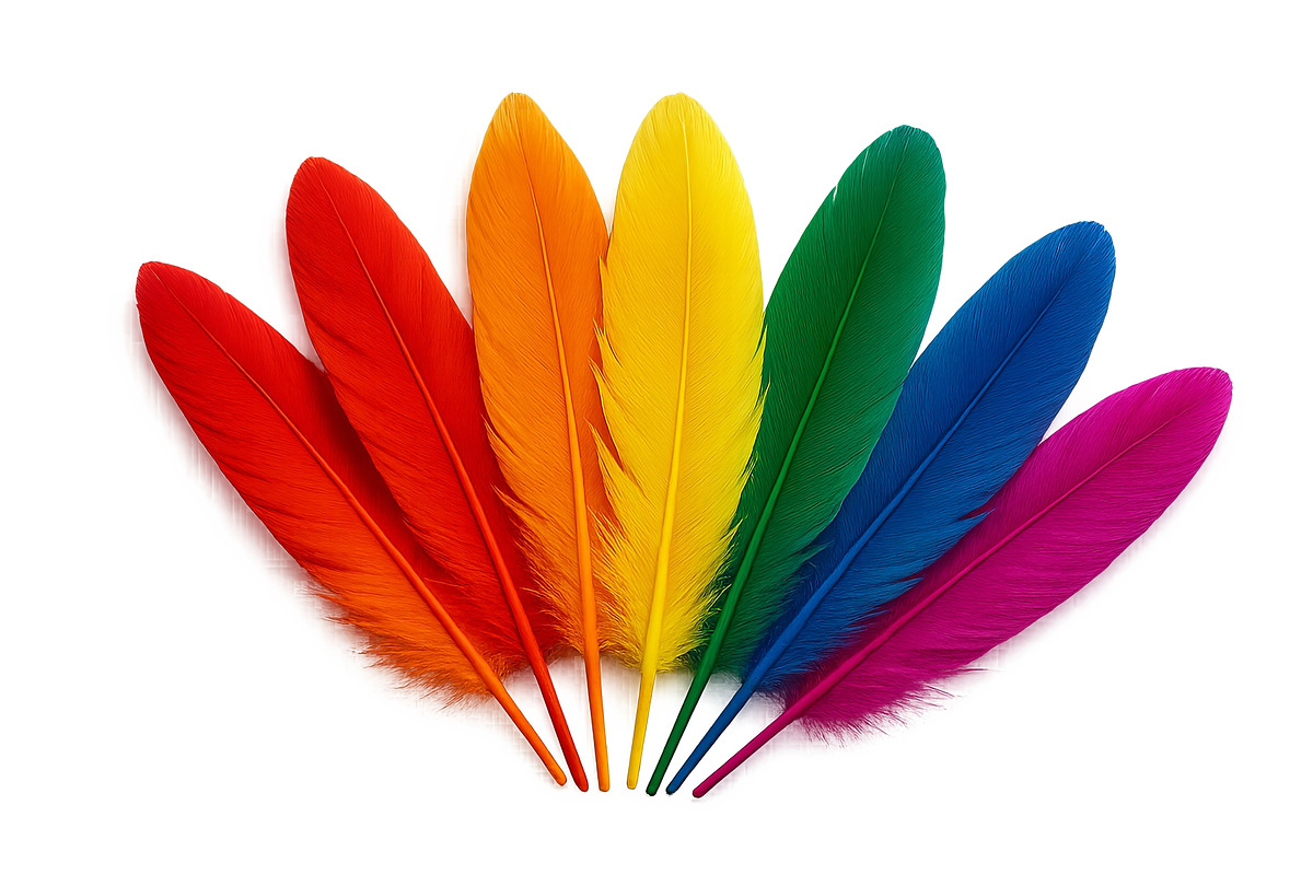 Colorful feathers in rainbow arrange, an Illustration by Dvoevnore photos