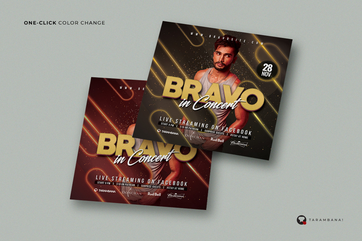 Artist Flyer Template, a Flyer Template by Plan B (Photo 3 of 3)