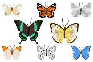 Winged Wonders Butterfly SVG