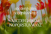 Spring Melody - Humanist Typeface, a Sans Serif Font by HipFonts (Thumbnail 4 of 7)