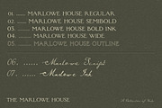 Calligraphy Ink Script Vintage Serif, a Handwritten Font by Laras Wonderland (Thumbnail 14 of 14)