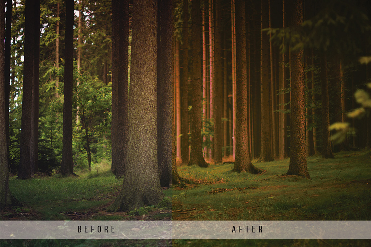 Forest Tone Lightroom Presets, an Action Add-On by N A N D U Z D E S I G N (Photo 10 of 10)