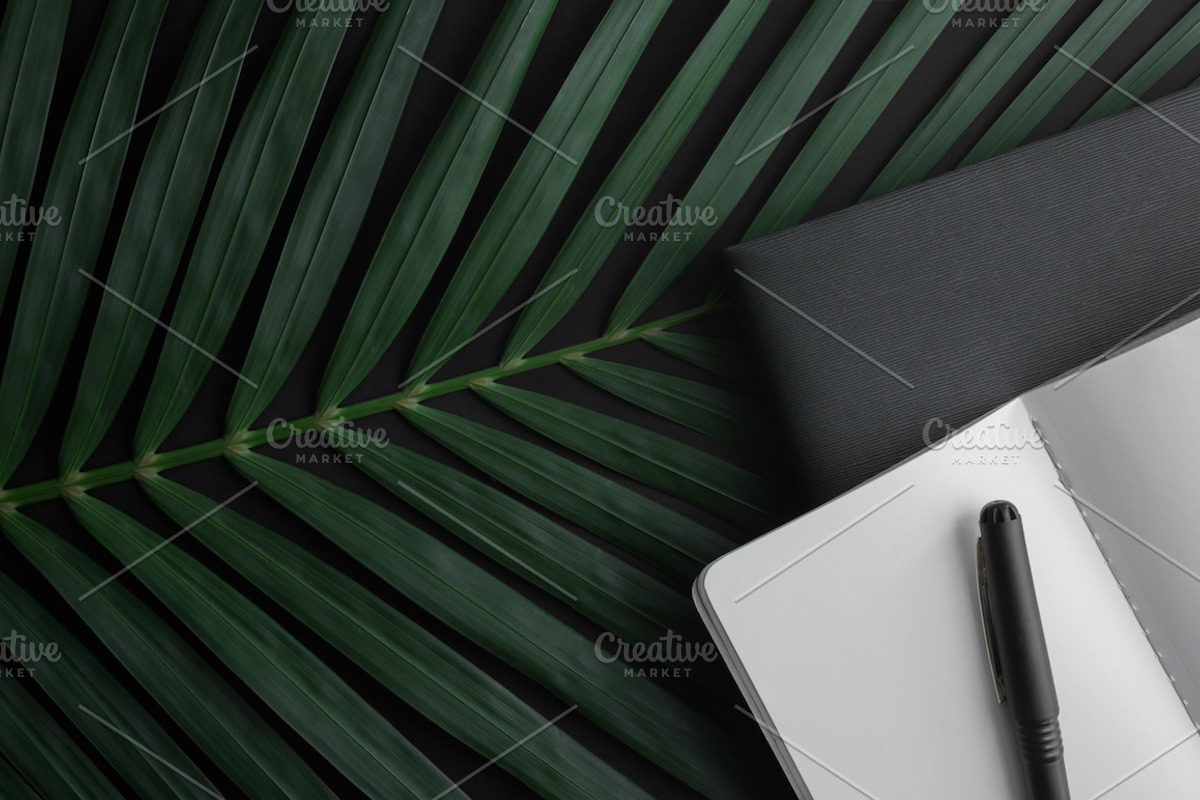 Minimalist Lifestyle Photo Bundle, an Abstract Photo by Moyo Studio (Photo 10 of 10)