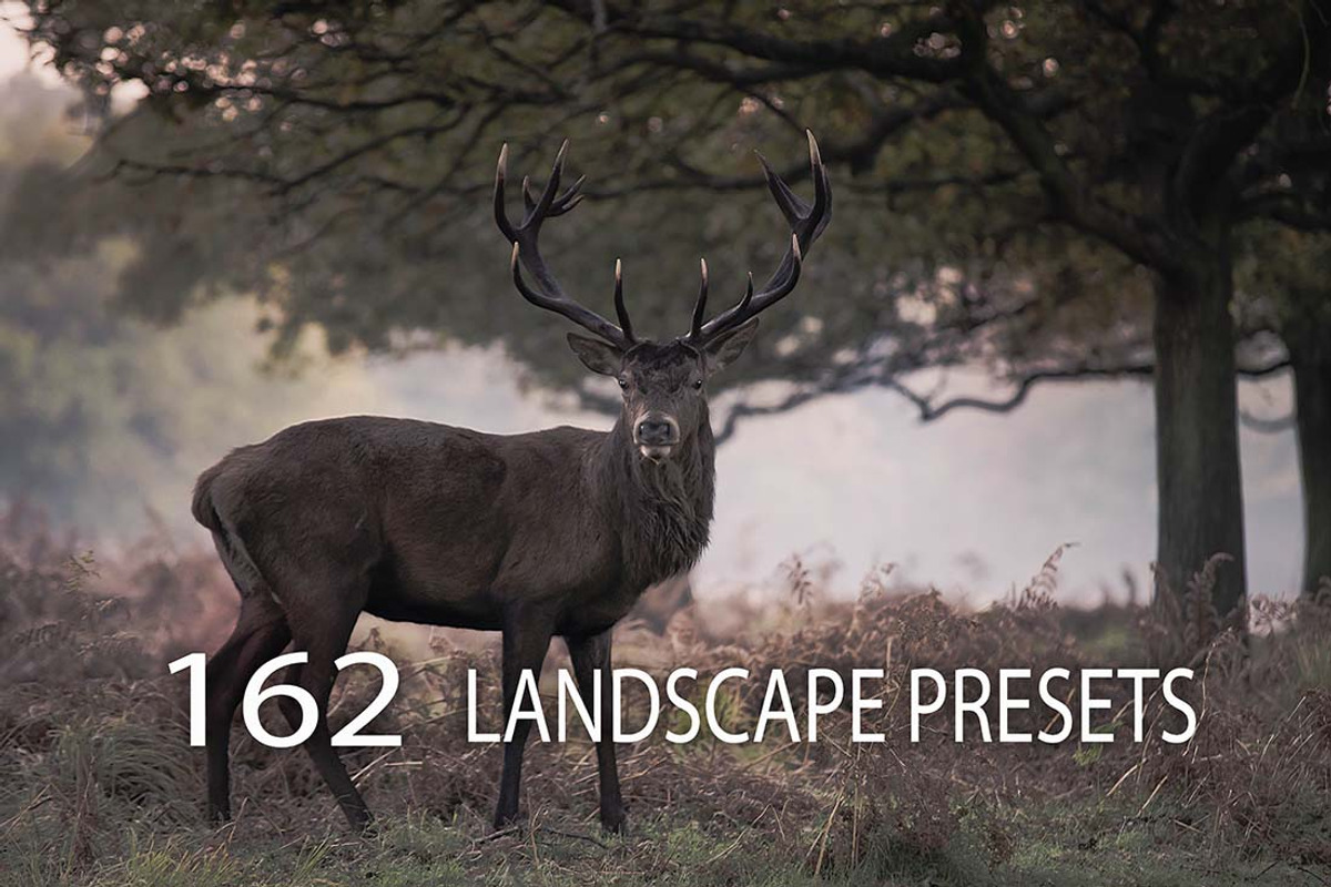 162 Landscape Presets Bundle
