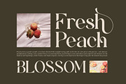 Amotha || Modern Classy Serif Font, a Serif Font by Ermedia Studio (Thumbnail 5 of 10)