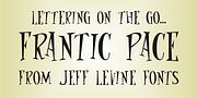 Frantic Pace JNL, a Serif Font by Jeff Levine Fonts (Thumbnail 1 of 4)