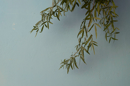 The Arbour preview 5