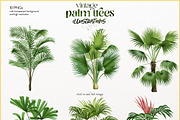 Vintage palm tree illustrations, a Decorative Illustration by Natalka Dmitrova art (Thumbnail 7 of 8)