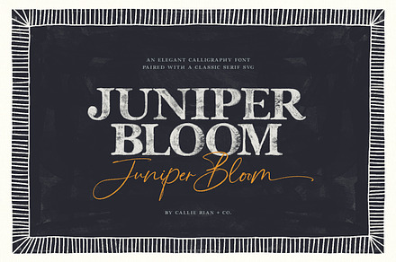 Juniper Bloom | Script & SVG Serif, a Handwritten Font by Callie Rian & Co.