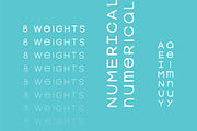 Fervent Sans [8 weights], a Handwritten Font by Ekloff (Thumbnail 4 of 5)