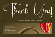 Delicately Stylish Handwritten Font, a Serif Font by stylishtype.co (Thumbnail 20 of 20)