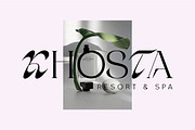 Cholleo Display, a Serif Font by Dora Typefoundry (Thumbnail 6 of 18)