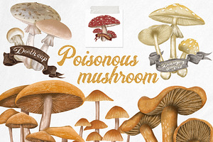 Poisonous mushrooms clipart