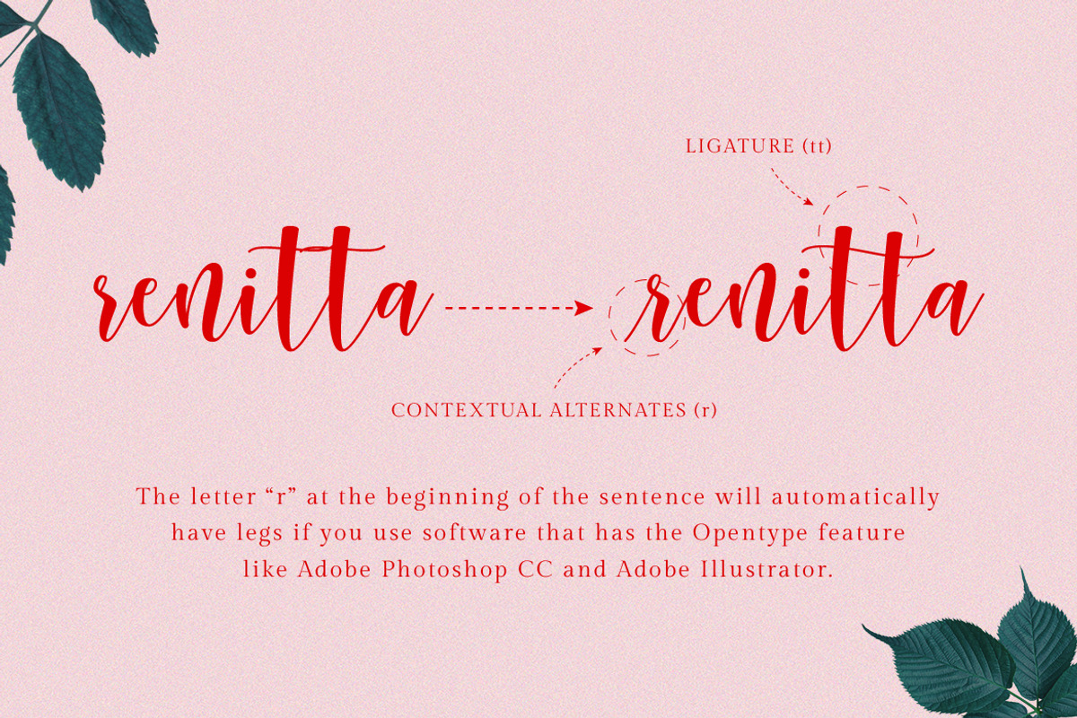 Sunberry | Beautiful Script, a Script Font by Ef Studio (Photo 3 of 12)