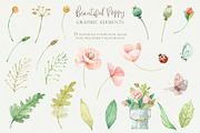 Beautiful Poppy, an Illustration by svetsum (Thumbnail 4 of 9)