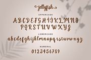 Jellyfish Script, a Script Font by Graphic Deal (Thumbnail 7 of 9)