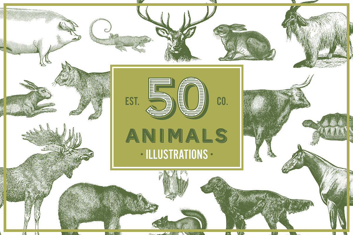 Animals Vector Vintage Illustrotions, an Animal Illustration by hypegraphic (Photo 1 of 5)
