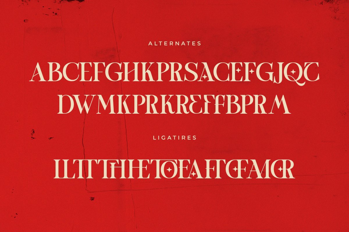 One of a kind | Serif font, a Serif Font by Taboja Studio (Photo 10 of 11)